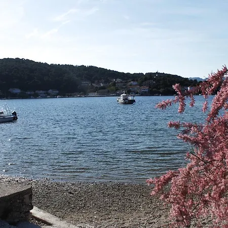 Apartment Vita Διαμέρισμα