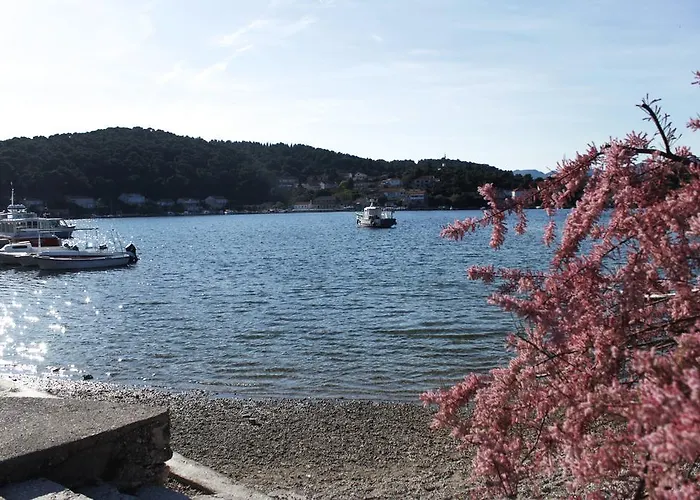 Apartment Vita Apartment